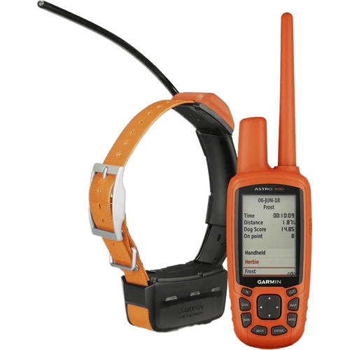 GPS-ошейник Astro 900
