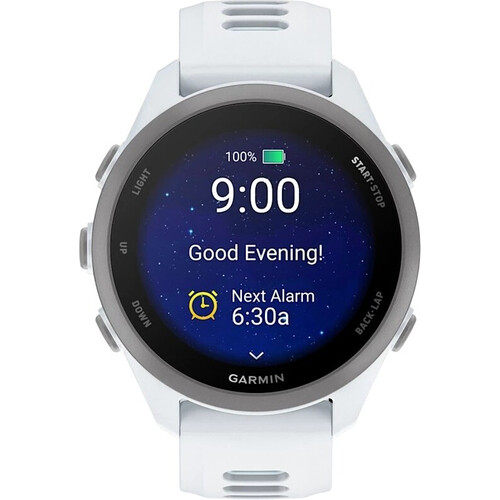 Смарт-часы Garmin Forerunner 170 Whitestone/Cloud Blue, МОДЕЛЬ: Forerunner 170, ЦВЕТ: Whitestone/Cloud Blue, изображение 2