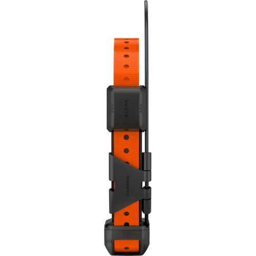Ошейник для собак Garmin Alpha TT 25, изображение 2