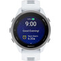 Смарт-часы Garmin Forerunner 170 Whitestone/Cloud Blue, МОДЕЛЬ: Forerunner 170, ЦВЕТ: Whitestone/Cloud Blue, изображение 2